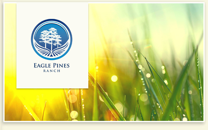 projekt logo zrealizowany dla Eagle Pines Ranch